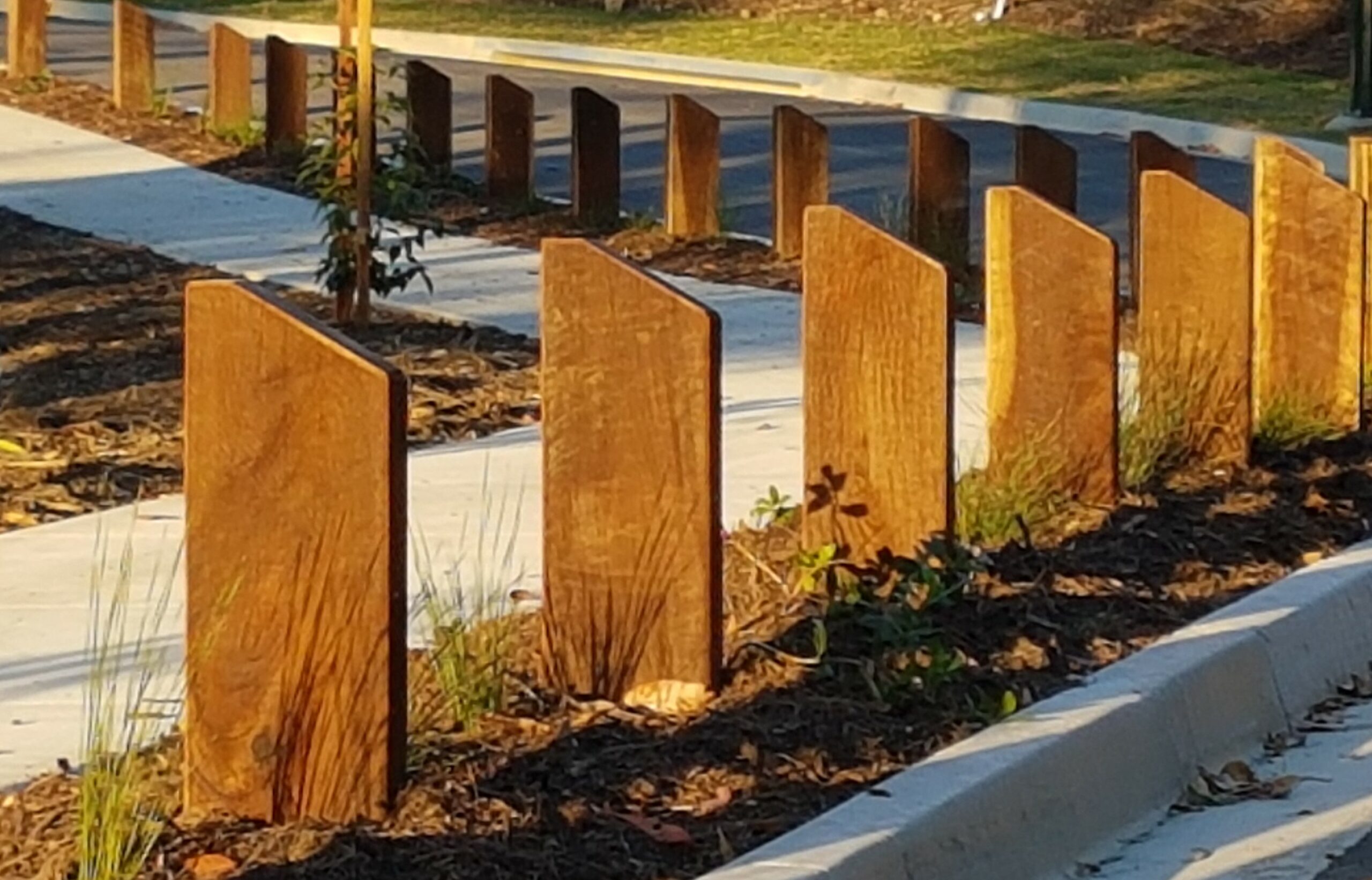 Timber Fencing 1